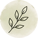 Icono 1
